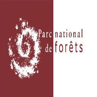 parc-national-des-forets