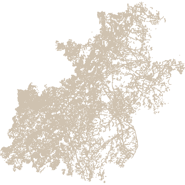 Modèle Numérique de Terrain (lignes) 2013 de Nuits-Saint-Georges à Montceau-les-Mines
